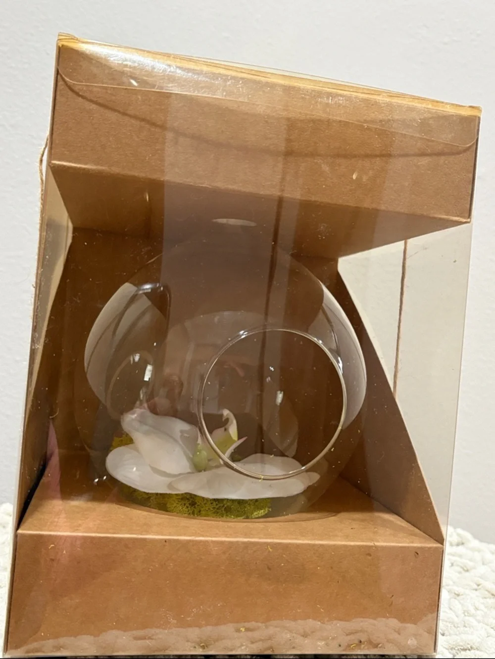 Clear Glass Orb Hanging Terrarium with White Flower Accent